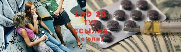 индика Армянск