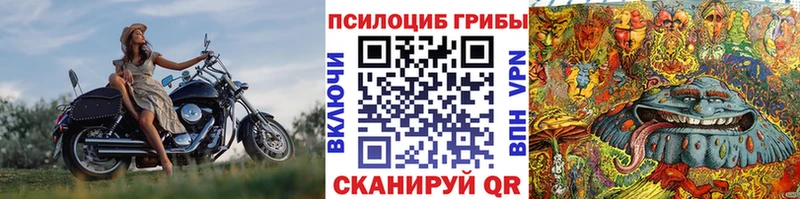 Купить где  Рудня  Псилоцибиновые грибы прущие грибы 